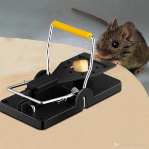 mice trap